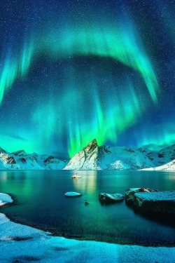 sweet-little-minx:  lsleofskye:  Lofoten