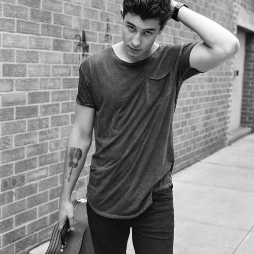 lovelydreaming: Shawn Mendes Layouts • please like if you save or screenshot • follow for 