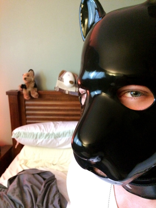 diaryof-alittleswitch: newboy-bigworld: Where did you get your hood???? I love him!!