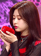 akb48love:  (181102) iz*one ❁ la vie en rose (intro.)