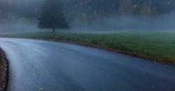 bott0m0fthe0cean:  I dunno why but i really love when it’s foggy outside