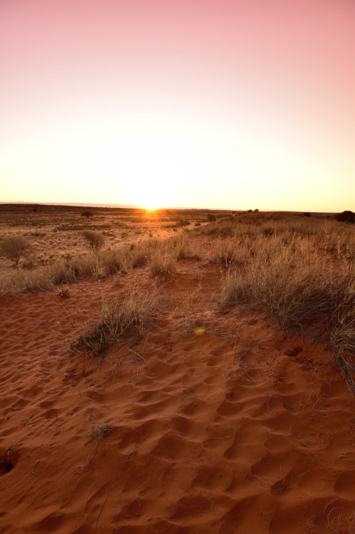 Kalahari Desert - South Africa (by South African Tourism) / http://picstreet.fr