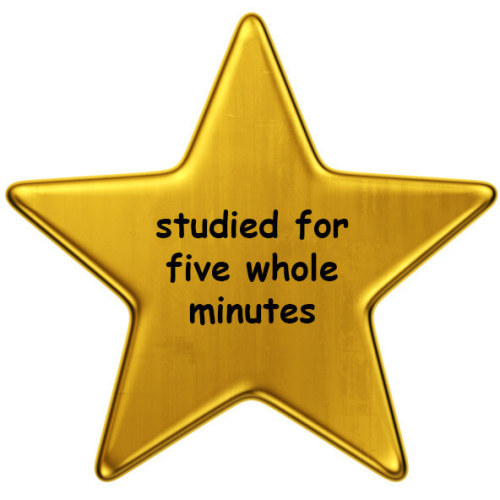 ratemyprofessorsdotcom:lifeofabiologymajor:Gold Stars for College StudentsWhy is this not an actual 