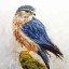 merlinsflight-art