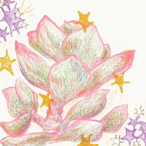 Plants!