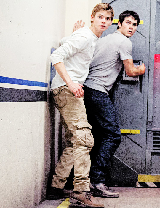 embarrassedboys:  â€œGoing somewhere, my embarrassed boys?â€The Scorch Trials