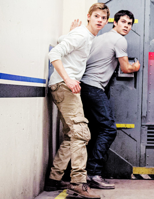 “Going somewhere, my embarrassed boys?”The Scorch Trials [2015]