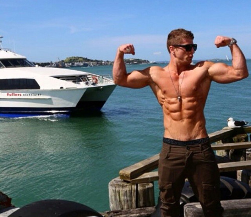 Adonis Files