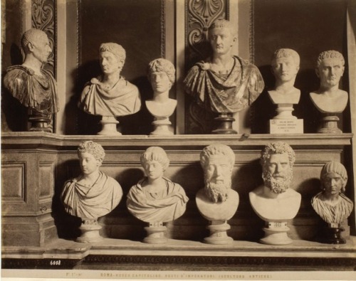 hismarmorealcalm:Rome Capitoline Museum Busts of Emperors  c. 1890  Alinari &amp; Cook