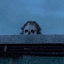 crimetheme