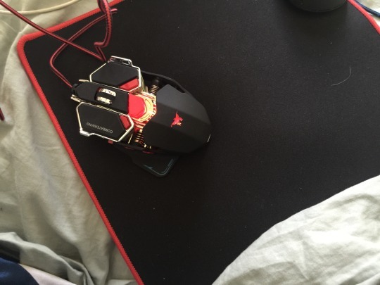 queenqueso:  makhanso:  thebuffsquidmom:  suppyguppy:  captainthundernuts:  suppyguppy: