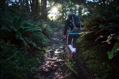 POINT REYES: WILDCAT CAMPGROUNDSimply beautiful! It can be difficult to reserve a spot here on the w