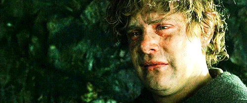 m-irkwood:“Hobbits must seem of little importance, being neither renowned as great warriors, nor cou