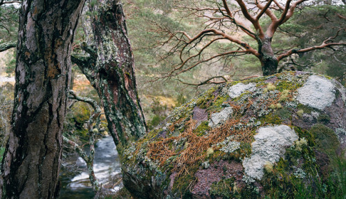 Loch Maree (not in the style of Paul Wakefield) by Tim Parkin on Flickr.