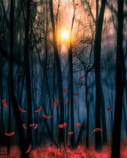 wnq-writers: bestofs6:    VIVIANA GONZALEZ    More by the Artist Here  25% OFF EVERYTHING