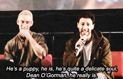 indyfinitely:“it is a bit of a bromance, actually”[x][x][x][x][x][x]