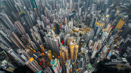 5vx: Urban Jungle by Andy Yeung