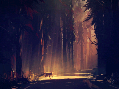 calming-gifs-not-discourse:source