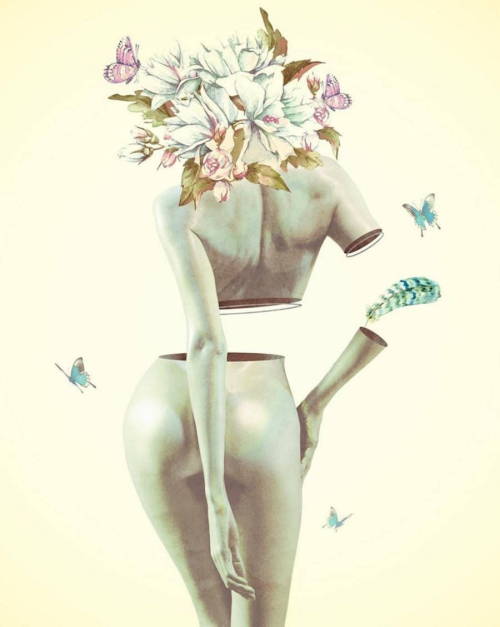 nevver:Go to pieces, Dàniel Taylor