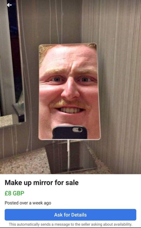 pixelatedfrog: zsnes: bunjywunjy: now THIS is how you photograph a mirror. unapologetically. mr incr