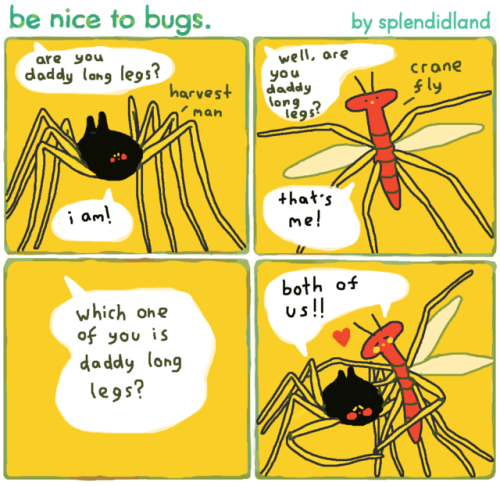 benicetobugs:020