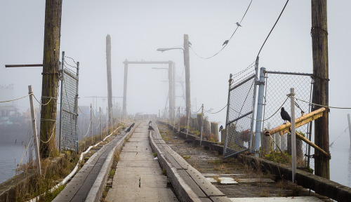 Old dock in the fog, Neah Bay, Washington State