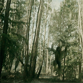 Bruce Banner & The Hulk In Avengers: Age Of Ultron