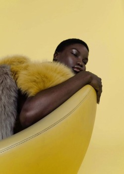 dreams-in-blk:Anise seed yellow (Victoria Beckham) among others trending ss21