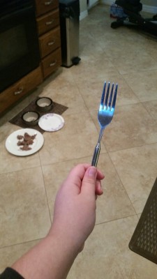crockodawgy:  funkybug:  why does this fork extend  expand tong 