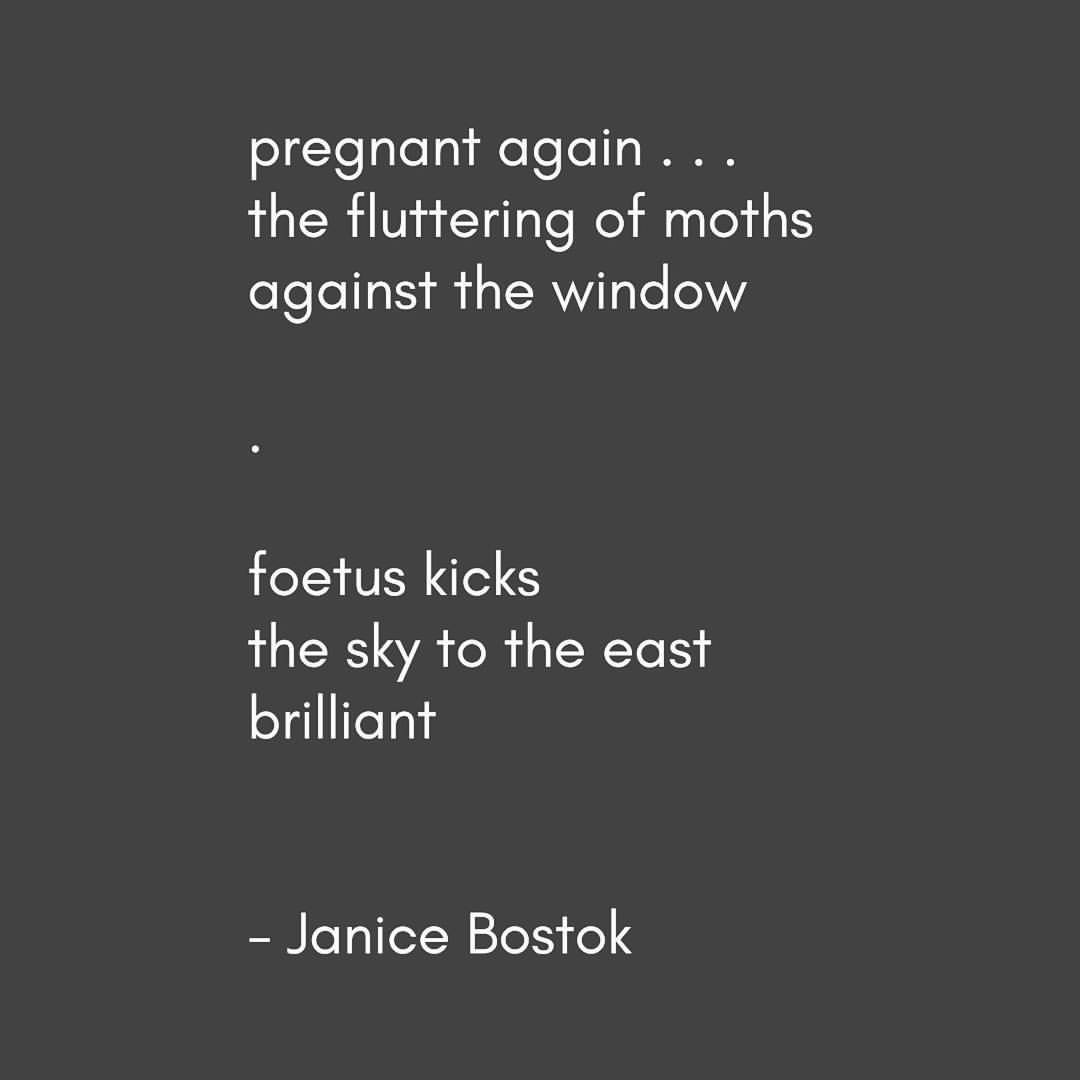 ♡ these two by Janice Bostok, first Australian #haiku #poet
-
pregnant again . . . / the fluttering of moths / against the window
▪
foetus kicks / the sky to the east / brilliant
- The Haiku Anthology (New York: Simon & Schuster, 1986), 46.
#favpoem