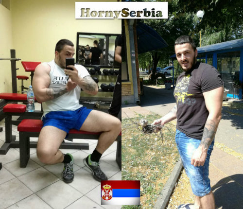 hornyserbiaa:  Србенда _ Serbian