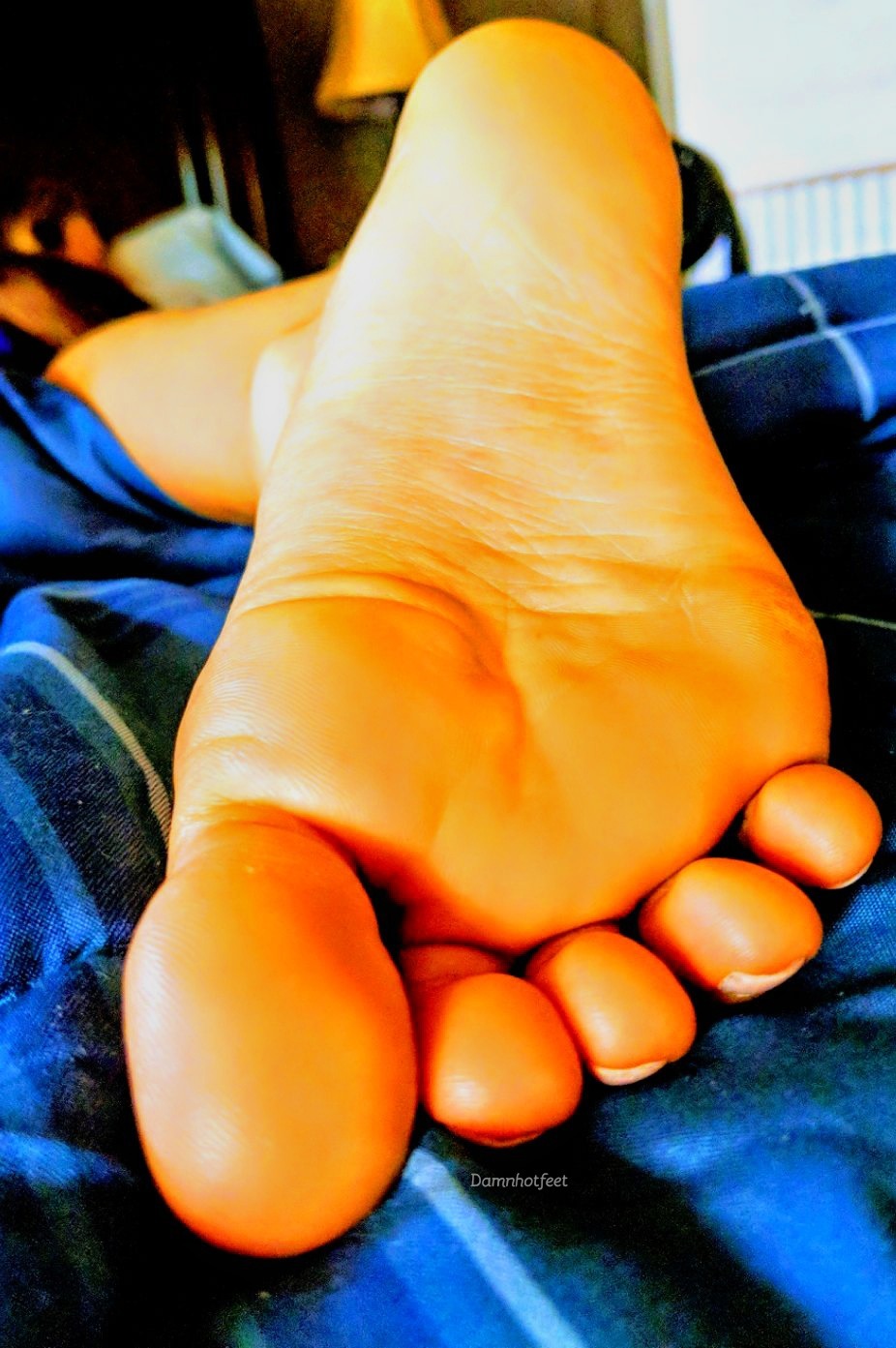 damnhotfeet:  Guess I wasn’t gone long.  Enjoy these soft and amazing feet.Comment
