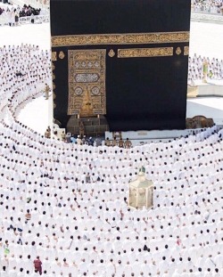 islamicthinking:  The Ka’aba, Makkah.https://www.instagram.com/p/BnRvL3AhoqB/?utm_source=ig_tumblr_share&amp;igshid=1puvnobhg2htd