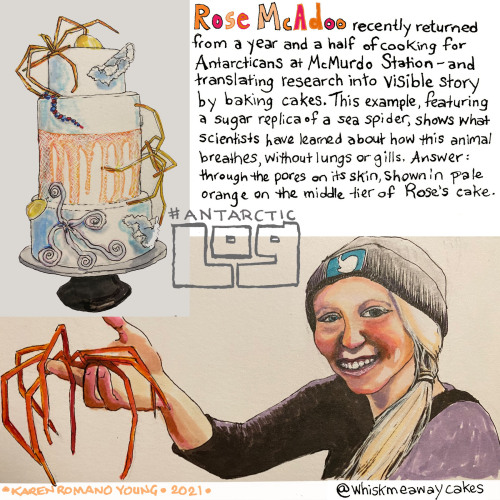 The next @AGU_SciComm #AntarcticLog from @DoodlebugKRY is all about spiders &amp; other creepy-c