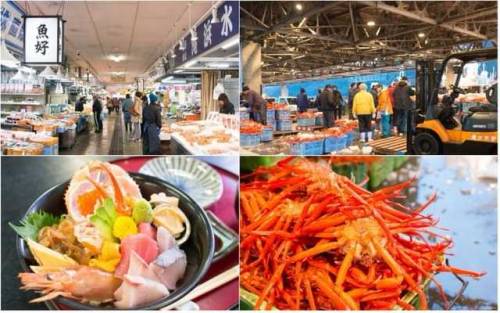  Tour The Sakai Fishing Port - Delicious Seafood And Fun Workshops! Sakai Fishing Port in Sakaiminat