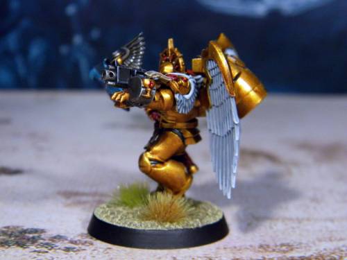  The thirteenth Sanguinary Guard. 