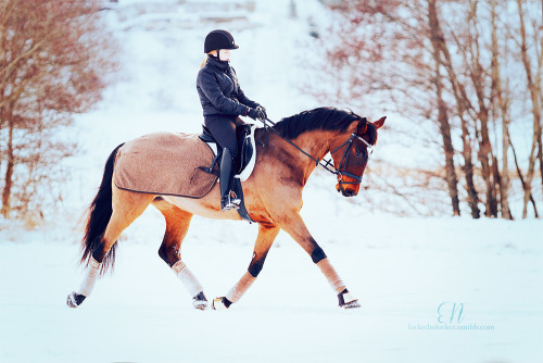 equine photoshoot