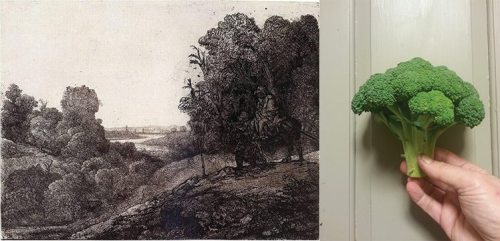 printmakersopenforum:  A grad Art History prof told us that Rembrandt modeled his trees from broccoli. Last night was the moment of truth. 