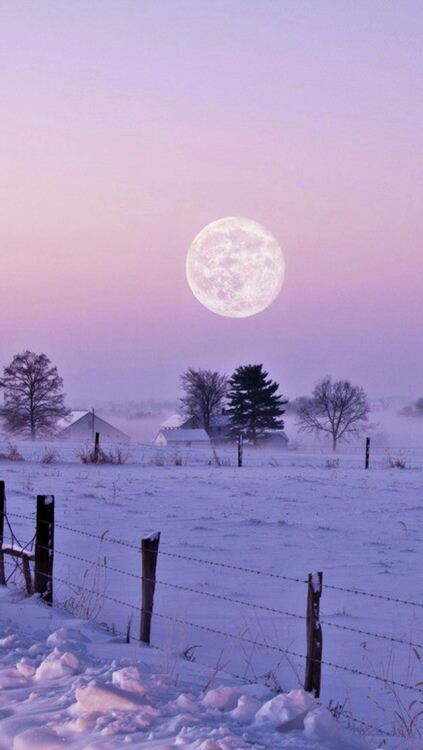weepingvixen:Landscape~