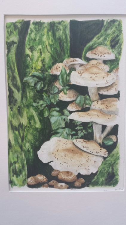 professorsilly:  My water colour final project.