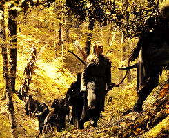 timeladv:“There lie the woods of Lothlorien! That is the fairest of all the dwellings of my people. 