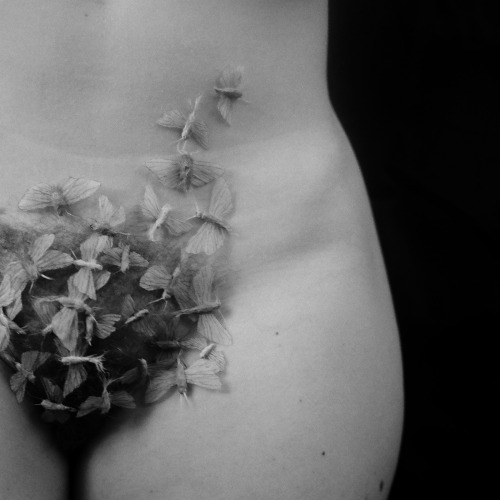 Michalina Woźniak aka Corpus Vertebrae (Polish, b. 1993, based Lublin, Poland) - Untitled, Photograp