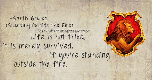 Harry Potter House Quotes