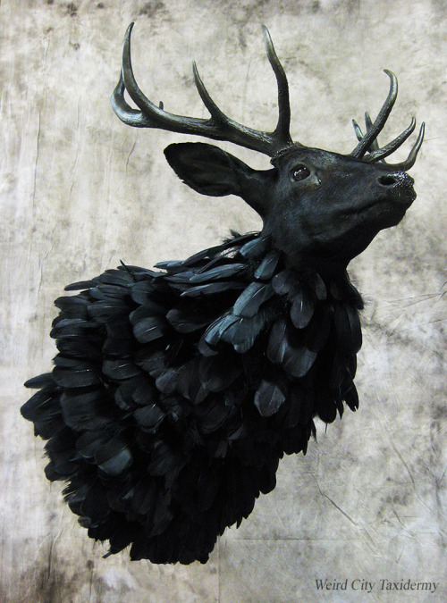 weirdcitytaxidermy:  Swiggity Swag the Nightmare Stag (version 2.0) From NBC’s Hannibal View at Devi