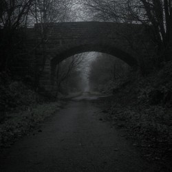farfromthetrees:  Troll bridge.  #personal #winter #trollbridge #bridge #mist #spooky #workington #old #pathway #railwayline #trees #creepy