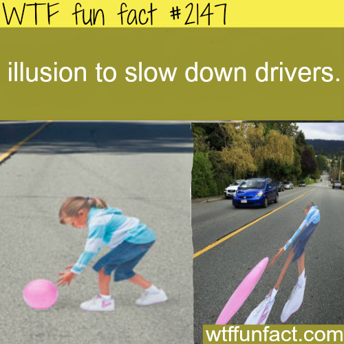 wtf-fun-factss:  illusion to slow down drivers - WTF fun facts