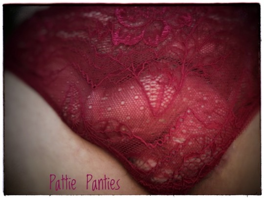 pattiespics:  Wacoal Panties today. Up close porn pictures