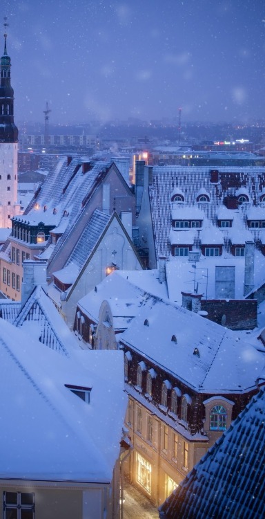 passport-life:Tallinn| Estonia