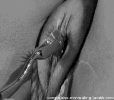 gentlemantyrant: sapioslut: ✨ *Looks around furtively, then adds this to the to-do