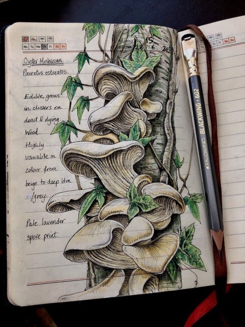 euripideez-nuts:Jo BrownBiologist and artistJournals